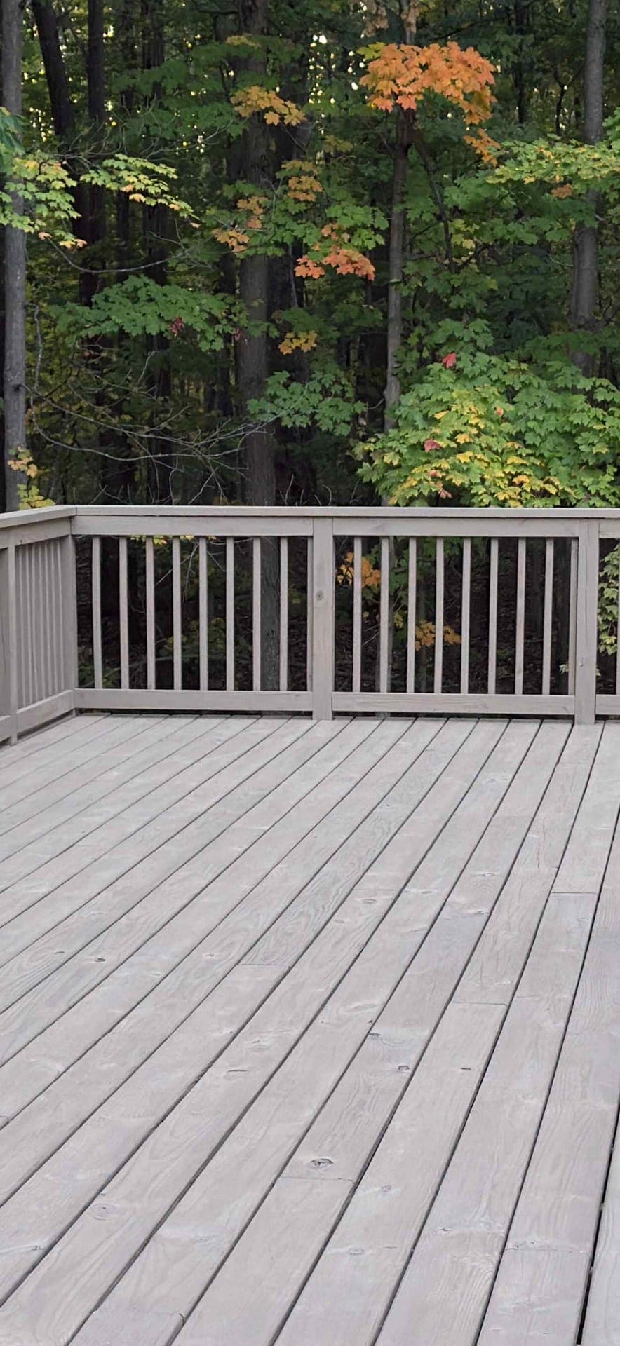Freshly stained wood deck with white railing