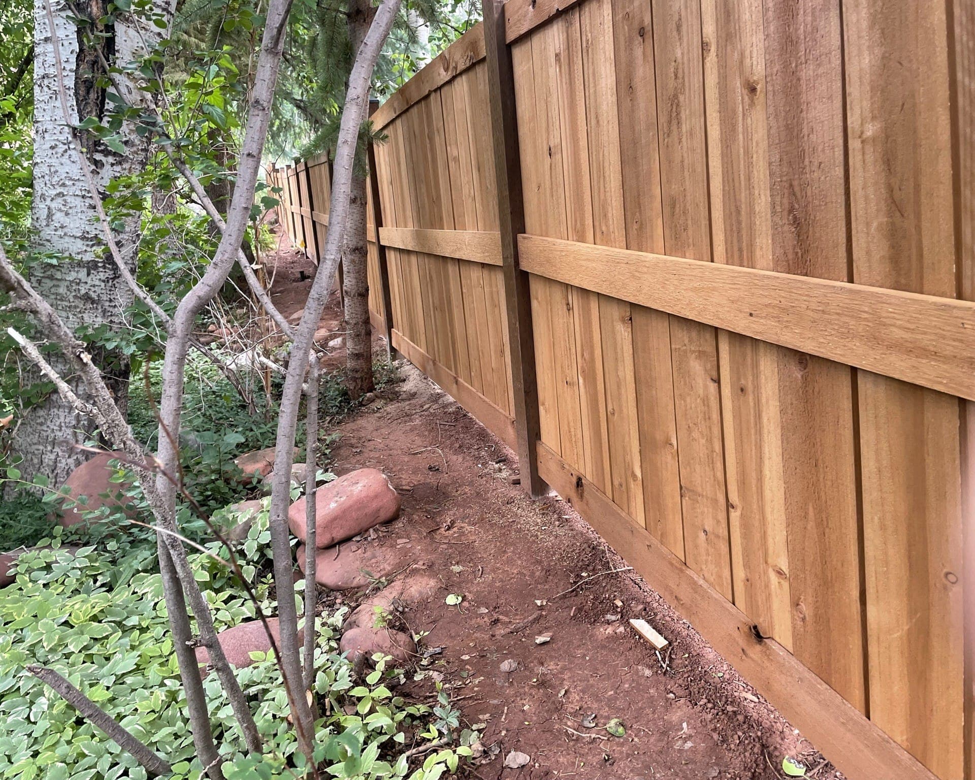 New cedar privacy fence along a garden bed
