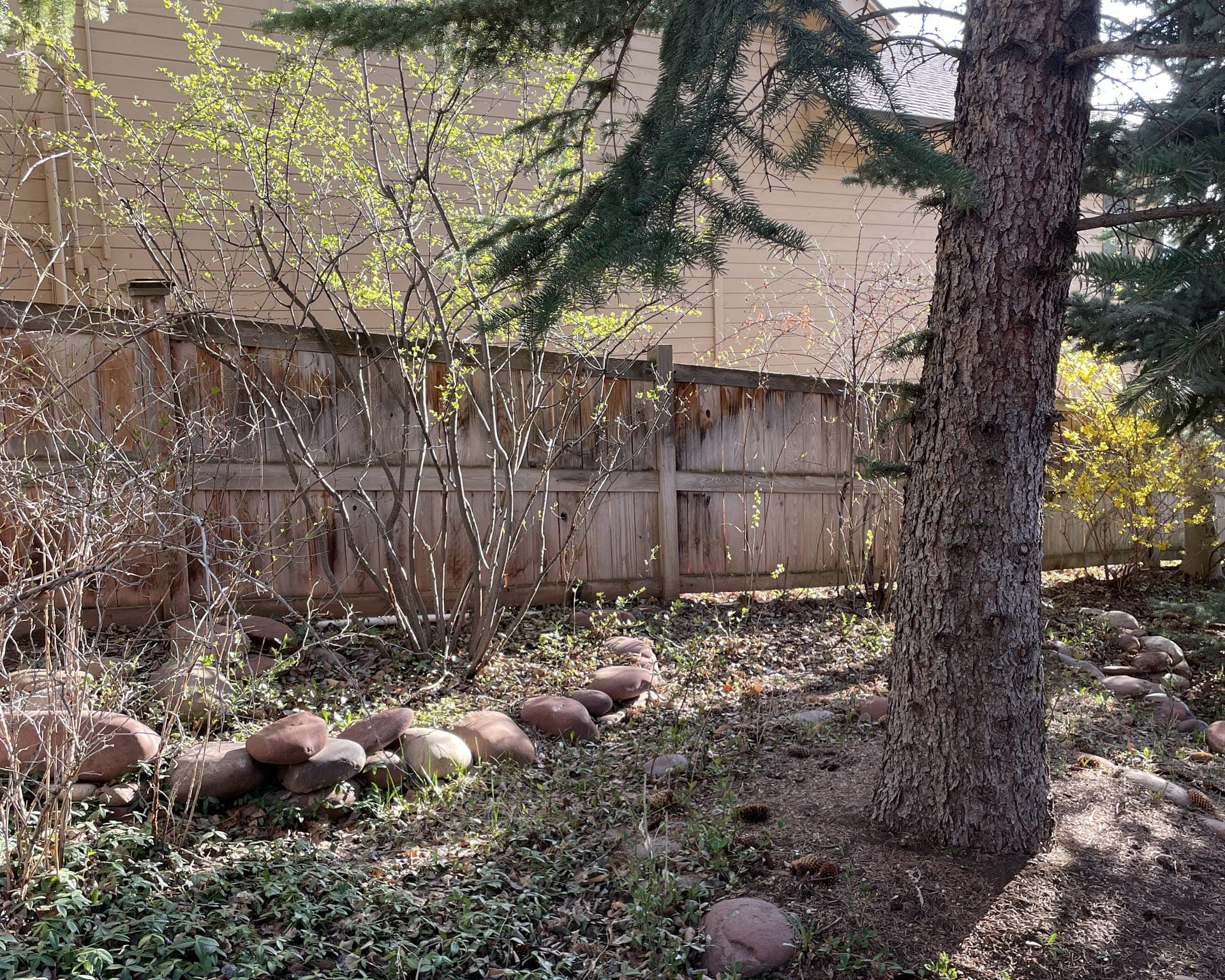 Old, leaning fence along an overgrown yard